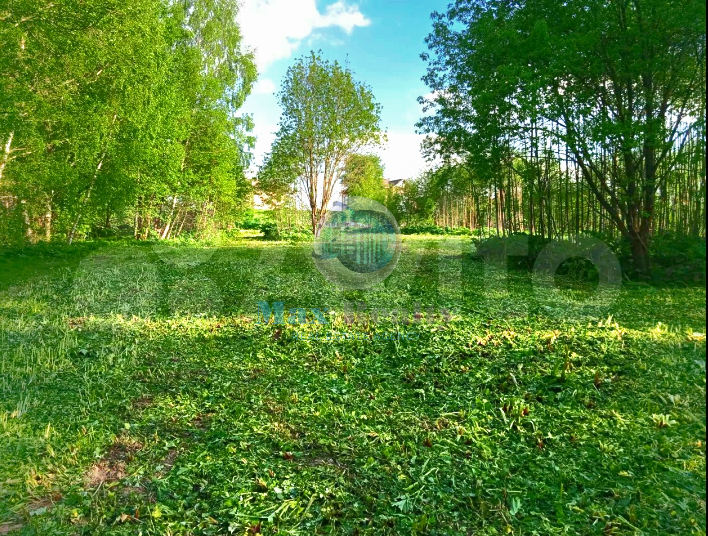 Продам земельный участок в Шишкино Недвижимость Московская  область (Россия) Расположен в живописном месте, с вековыми деревьями, на высоком берегу реки